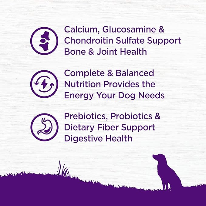 Wellness Complete Health Age Advantage Senior Dry Dog Food, Wholesome Grain Kibble, Natural, Chicken and Barley Recipe, 30 lb Bag