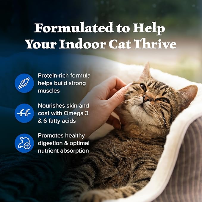 Blue Buffalo Wilderness Nature's Evolutionary Diet High-Protein, Grain-Free Natural Dry Food for Adult Cats, Chicken, 2-lb. Bag