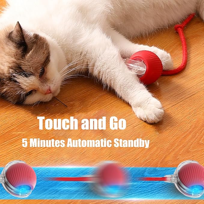 2025 New Interactive Dog Cat Toys Balls, Rolling Ball for Dogs, 360° Smart Automatic Rolling Pet Ball, Electric Dog Balls Toy, Fast Moving, for Indoor Cat and Dogs (Green)
