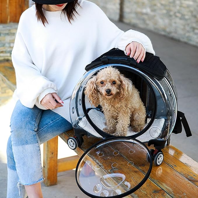 Cat Stroller, Clear Cat Carrier with Ventilation Holes, Silent Wheels, Convenient Portable Cats Dogs Backpack for Travel, Suitable for Cat Within 5kg, Dog Within 4kg Black