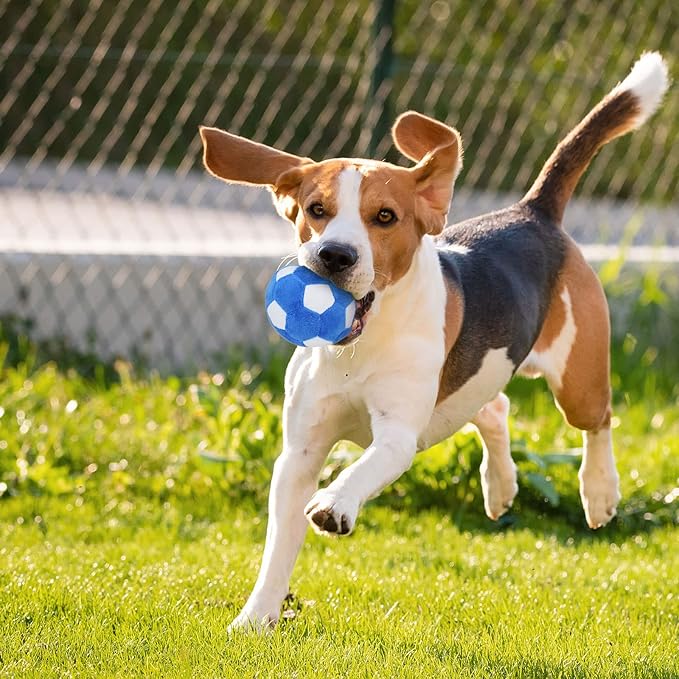 Dog Toys Balls - Chewable Plush Football for Dogs, Soft Pet Squeaky Ball Stuffed with Fluffy, Durable Indoor Outdoor Dog Puzzle Toy, Birthday for Puppy Small and Medium Breeds