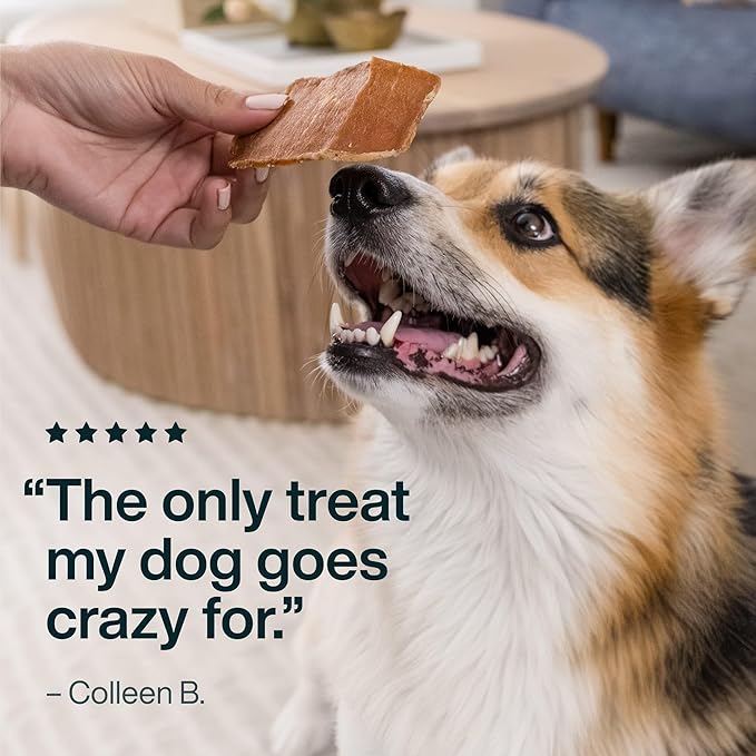 JustFoodForDogs Single Ingredient Healthy Dog Treats and Dog Snacks, Jerky Treats, Human Grade, Preservative and Grain Free, Rawhide Free Chews, Low Calorie Treat - Beef Brisket, 5 oz