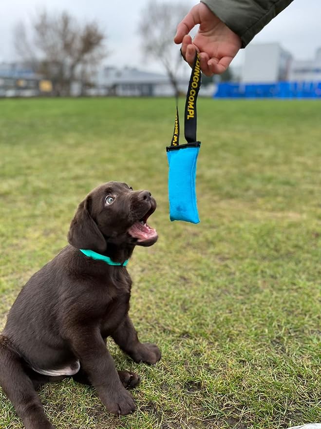 Dingo Cotton tug Toy with Handle, for Catch Retrieving and tug of war, Dog bite Pillow Floating on the Water, Four Colours, S Z30001