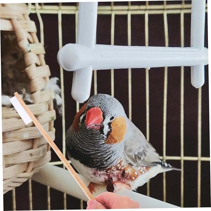 Kisangel 2pcs Bird Cage Cleaning Brush and Shovel Set Efficient Cage Tools for Bird Chicken Coop Feeder Perch Cleaning