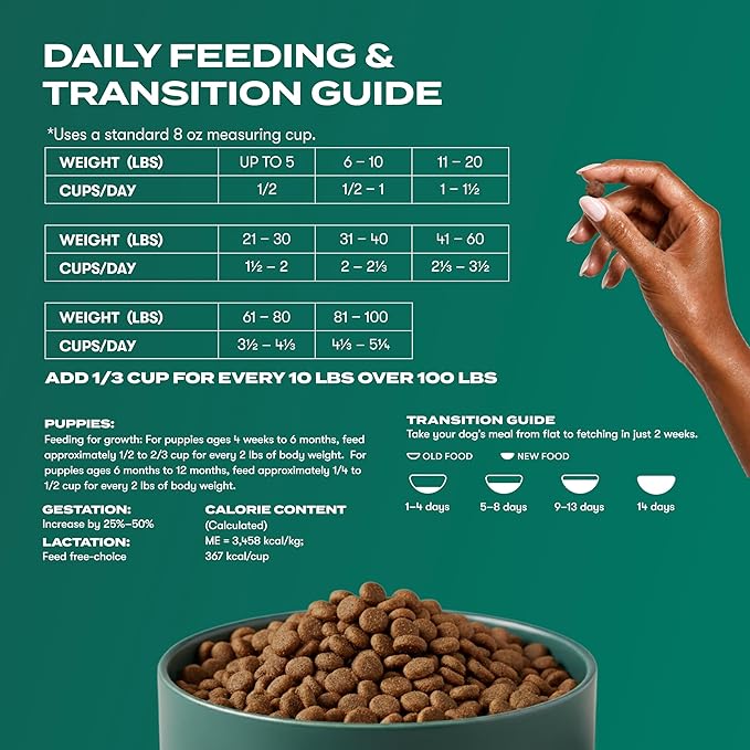Jinx Premium Grain-Free Dry Dog Food, for All Lifestages - Real Salmon, Sweet Potato & Carrot Puppy Kibble with Superfoods for Immune Support & Probiotics for Digestive Support - No Fillers - 4lb