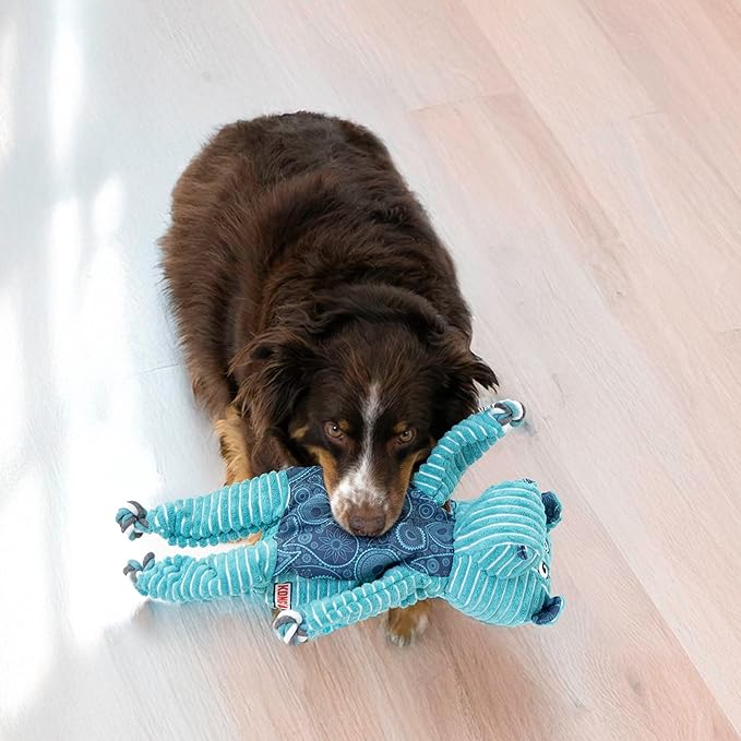 KONG XL 2 Pack - Soft Plush Dog Toy for Large Breeds - Durable, Cuddly & Squeaky - Perfect for Play & Comfort (Moose/Hippo)