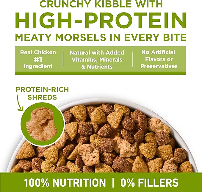 Purina ONE Plus Whole Body Support with Chicken Dry Dog Food - 31.1 lb. Bag