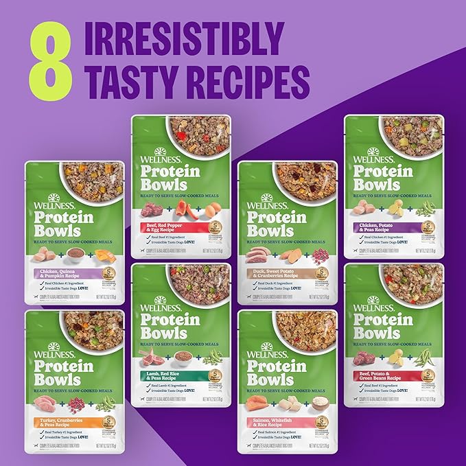 Wellness Protein Bowls Adult Wet Dog Food, Fresh Alternative, Wholesome Grains, Natural, Turkey, Cranberry, and Peas Recipe, 6.2 oz, Pack of 6 Pouches