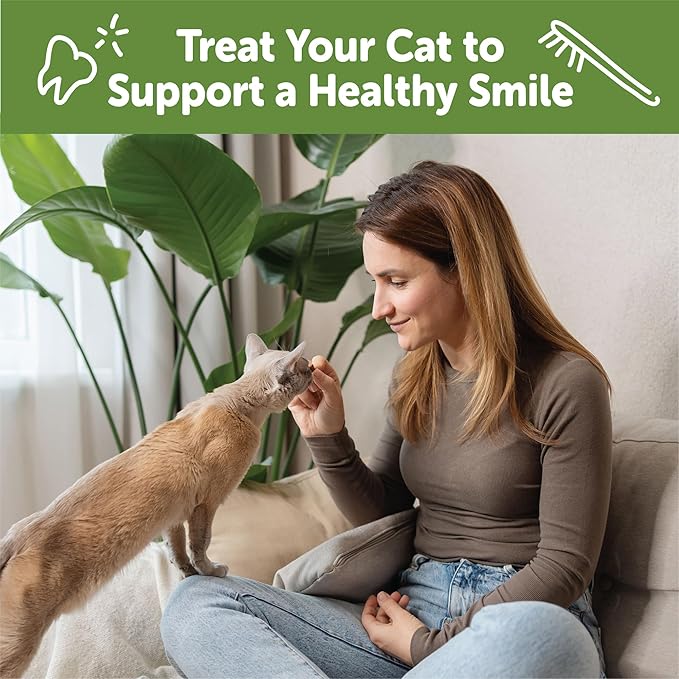 Wellness WHIMZEES Cat Dental Treats, Freshens Breath, Chicken and Salmon Flavor, 2 oz Bag