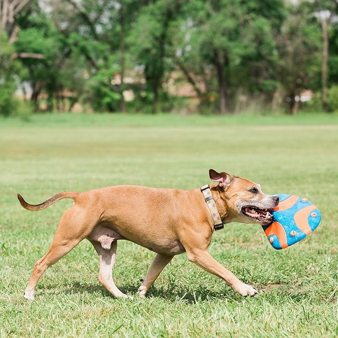 Chuckit! Whistle Flight Outdoor Dog Fetch Toy, Orange/Blue, 10.6" x 1.2" x 11.1", For Medium to Large Dogs