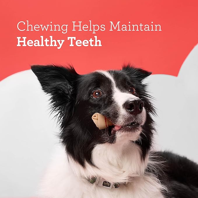 DreamBone Mini Chew, Made with Real Chicken & Vegetables, Rawhide Free Chews For Dogs, 50 Count