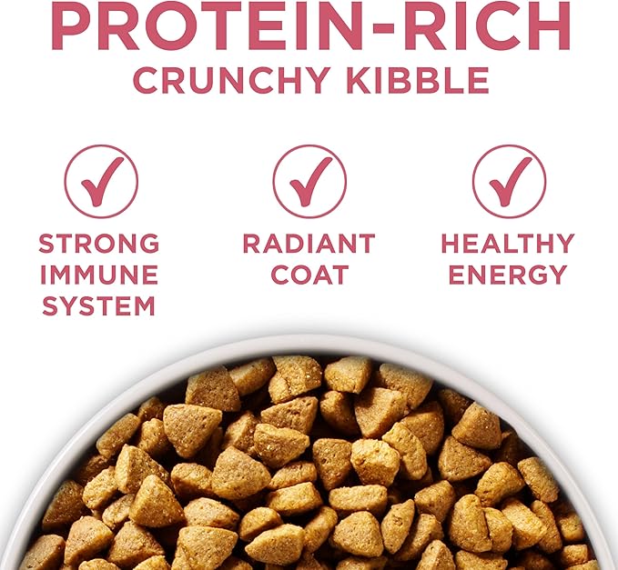 Purina ONE Natural, Sensitive Stomach Dry Dog Food, +Plus Skin & Coat Formula - 8 lb. Bag