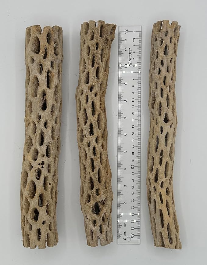 Awesome Aquatic Natural Cholla Wood Tube 12" up to 2" Dried Untreated Hollow Cactus Skeleton Aquariums Shrimp Fish Reptile Terrarium Habitat Decor Teddy Bear Staghorn (XL 12 in x up to 2 in Diameter)