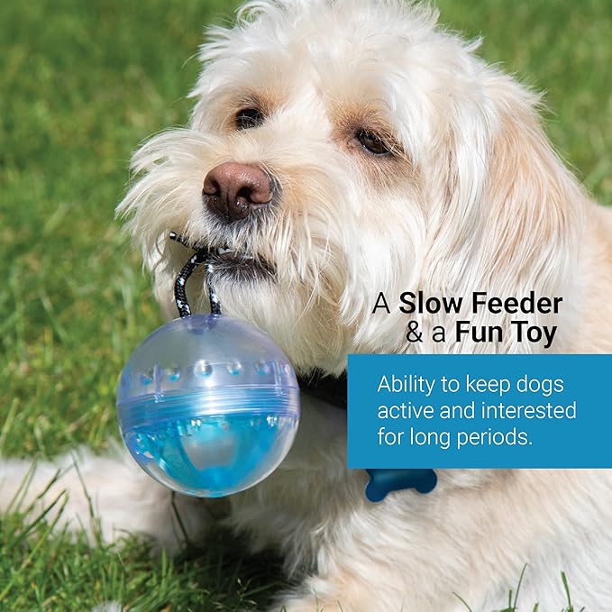 SVD.PET Dog Activity Ball: Interactive Treat Dispensing Toy, Slow Feeder, Great Gift for Dogs (Green)