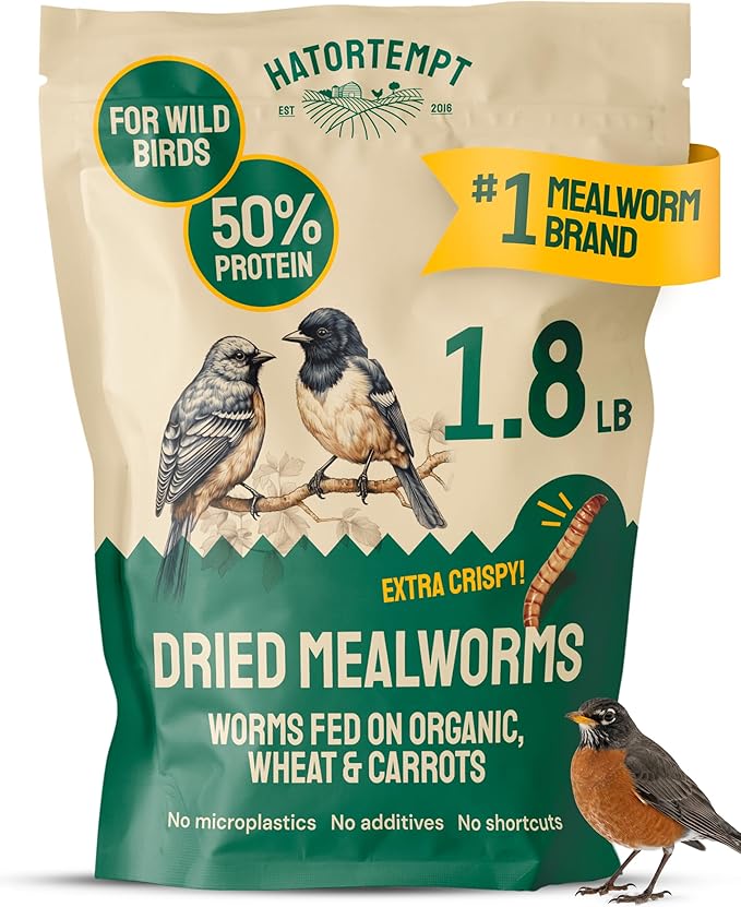 Hatortempt Dried Mealworms for Wild Birds - 1.8 Lb Bag - Non-GMO Meal Worms for Wild Birds - Attracts Bluebirds, Starlings, Wrens, Woodpeckers, Cardinals and Robins