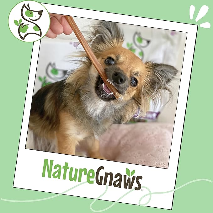 Nature Gnaws Extra Thin Bully Sticks for Small Dogs 5-6" (50 Count) - Long Lasting for Light Chewers and Puppies - Natural Beef Dog Chew Bone