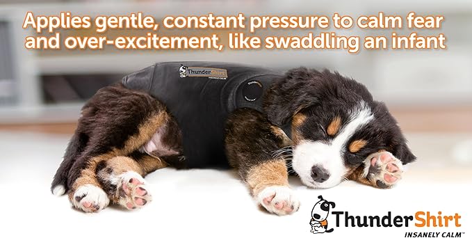 ThunderShirt for Dogs- Dog Anxiety Vest