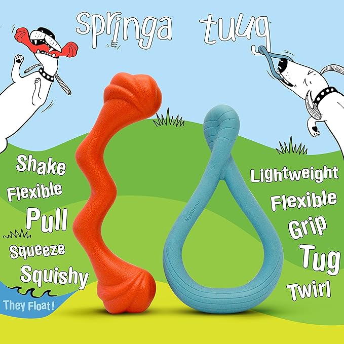 Nylabone Springa and Tuug Interactive Dog Toys Bundle for Dog Enrichment – Lightweight Intriguing Dog Tug Toys for Creative Play & Dog Exercise Springa & Tuug, Multi-Color, (ND1098)