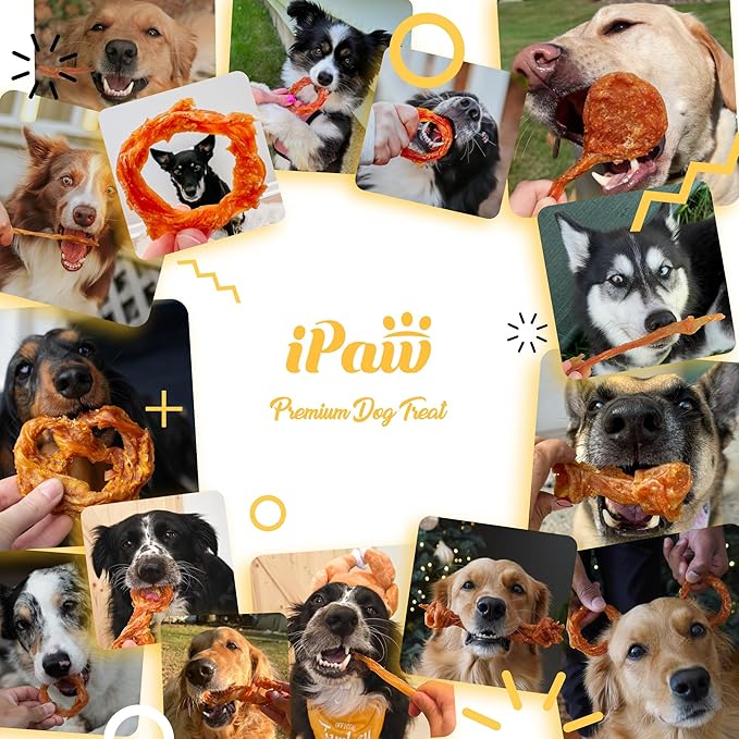 iPaw Turkey Tendon for Dogs 10 Packs/Box Bulk Pack, Single Protein, Hypoallergenic, All Natural Human Grade Puppy Chew, Dog Treats for Signature Series, Rawhide Alternative