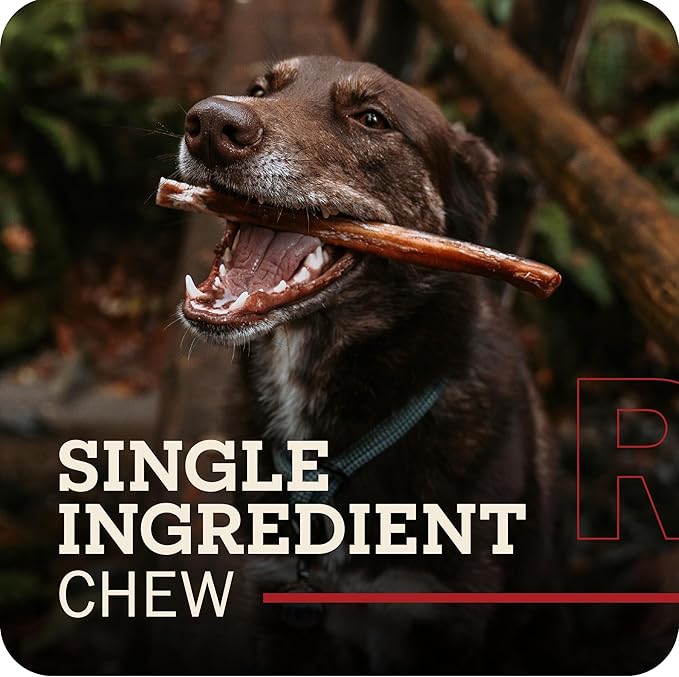 Redbarn Pet Products All Natural 5"-8" Braided Bully Sticks for Small & Large Dogs - Healthy Long Lasting Beef Chews Variety Party Pack - Single Ingredient Low Odor Rawhide Free - 8 oz Bag (Pack of 4)