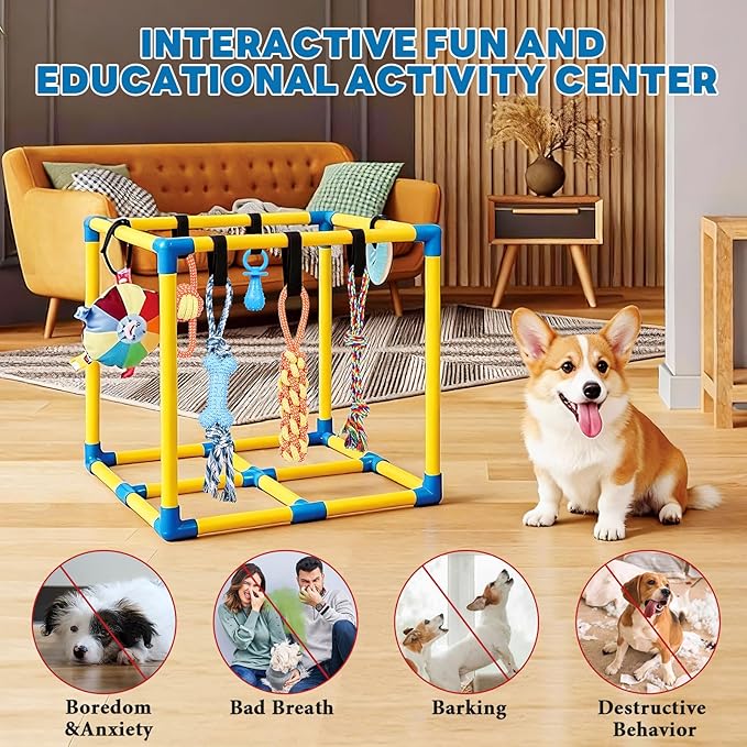 WLLEYAY Puppy Play Gym for Small Dogs with 10 Hanging Toys, Removable Indoor Jungle Gym, PVC Frame with Adjustable Bungee Straps, Interactive Dog Toys Tug Toys for Dogs Rope Toy to Keep Them Busy