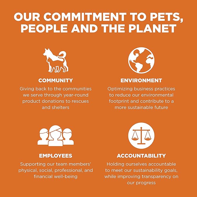 Go! Solutions Skin + Coat Care Salmon Dry Dog Food with Grains, Chicken-Free, Healthy Kibble with Omega-3s & 6s for Soft, Shiny Fur, for Puppies, Adults, & Seniors, 12 lb Bag