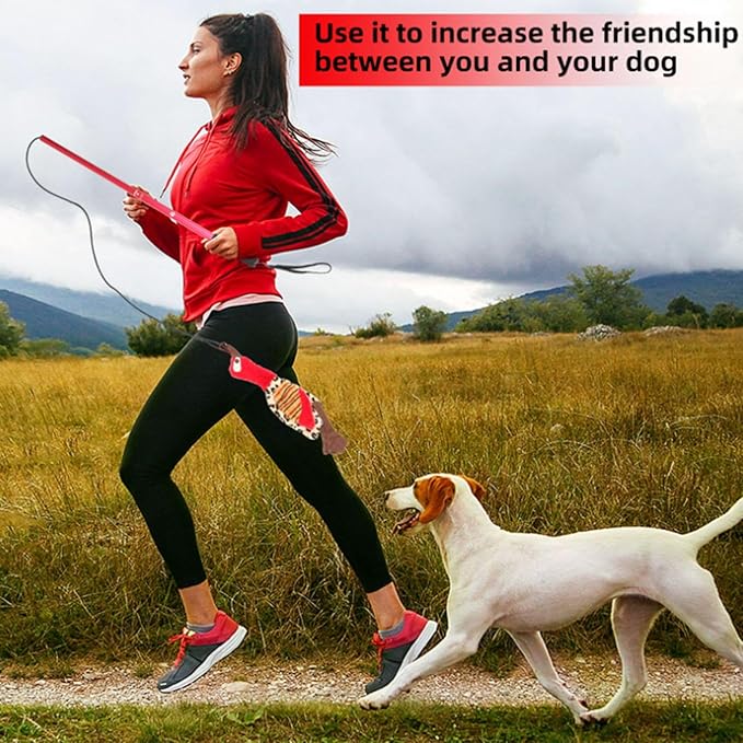 Flirt Pole for Dogs - Cat Fishing Pole Toy | Cat Wand Toy | Interactive Flirt Pole Toy | Puppy Wand Rope to and Tug of War | Durable Teaser Wand with Nylon Rope Tether Lure Toy for Dogs