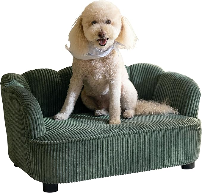Paws & Purrs Retro Scalloped Back Sofa Style Pet Bed, Dog & Cat Couch with Tufted Cushion & Armrest, Stylish Indoor Pet Furniture, Sage