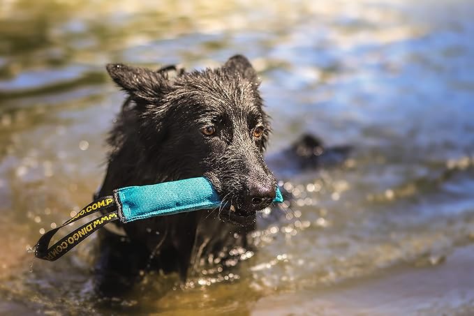 Dingo Cotton tug Toy with Handle, for Catch Retrieving and tug of war, Dog bite Pillow Floating on the Water, Four Colours, L Z30002