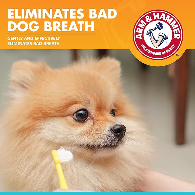 Arm & Hammer for Pets Fresh Breath Enzymatic Dog Toothpaste, Vanilla Ginger Flavor, Safe for Puppies and Adult Dogs, Daily Baking Soda Dental Gel to Eliminate Bad Breath, 2.5 Oz - 72 Pack