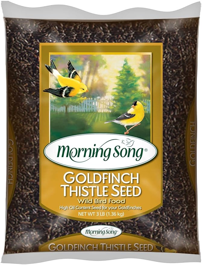 Morning Song 12000 Goldfinch Thistle Seed Wild Bird Food, 3-Pound