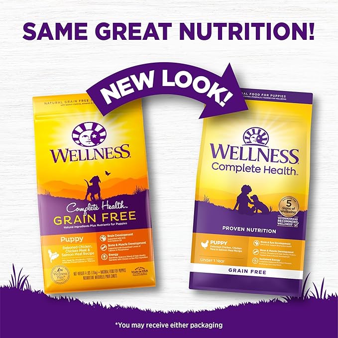 Wellness Complete Health Puppy Dry Dog Food, Grain Free Kibble, Natural, Chicken and Salmon Recipe, 22 lb Bag