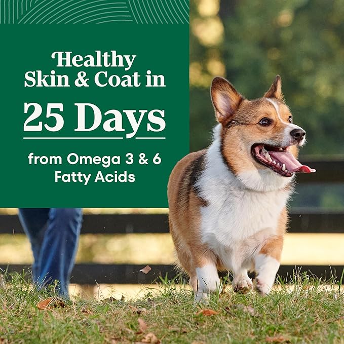 Nutro Natural Choice Small Bites Dry Dog Food, Adult Dog Food Dry Lamb and Brown Rice Recipe, 12 lbs.