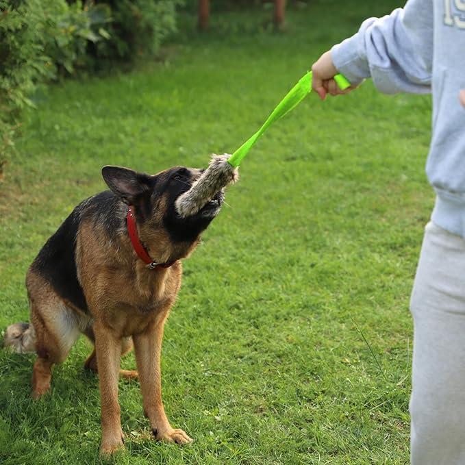 Dingo Faux Fur tug Toys for Dog with Bungee and Long Handle for Dog Training Agility Motivation Reward, Z30021