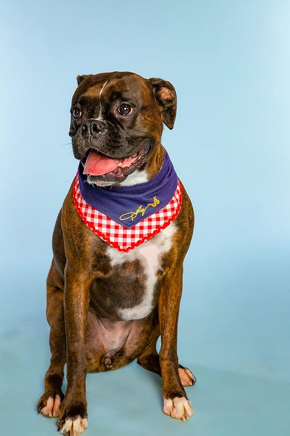 Doggy Parton Blue Printed Denim & Gingham Print Bandana for Pets, Medium/Large (22120720)