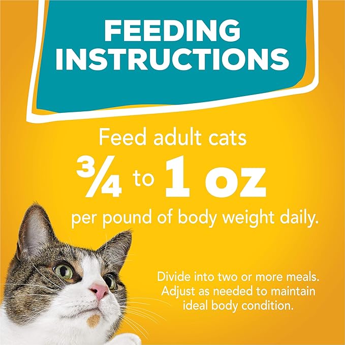 Friskies Purina Wet Cat Food Variety Pack,Tasty Treasures Prime Filets (with Chicken and Tuna,with Chicken,and-with Ocean Fish-and Tuna,and-with Turkey) - 5.5 oz. Cans,(Pack of 48)