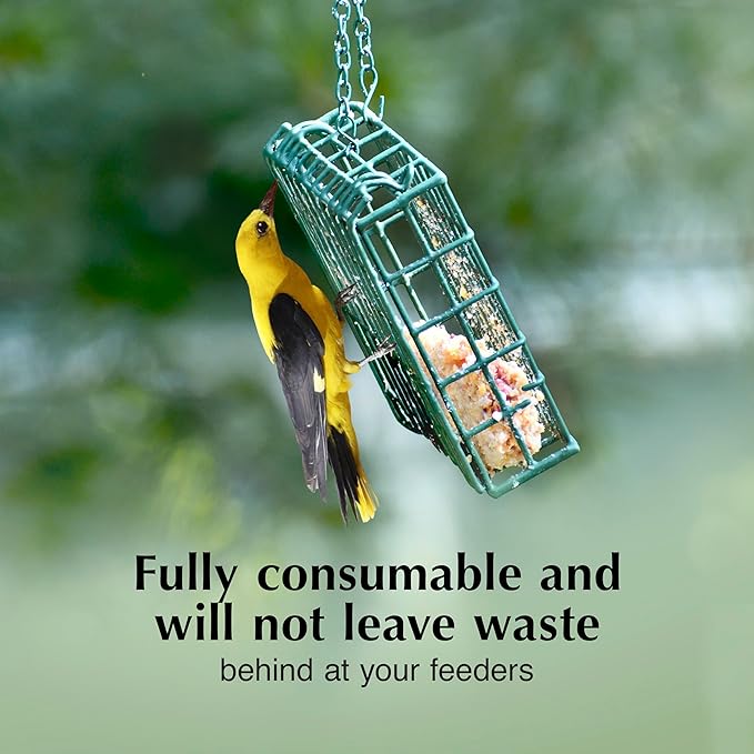 C&S Oriole Delight No Melt Suet Dough, Suet Cakes for Wild Birds Including Orioles and More, 11.75 Ounces, Pack of 8