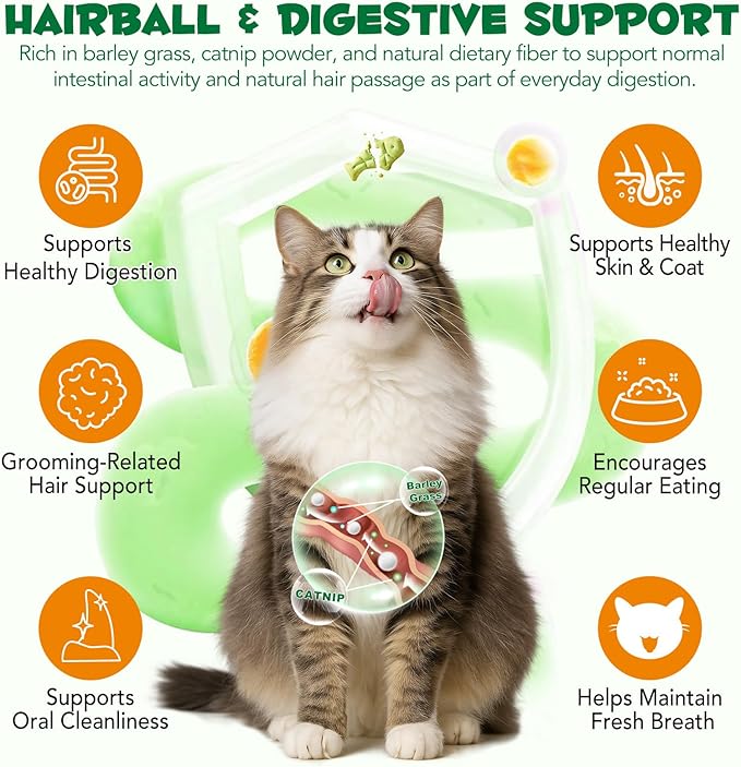180g/6.4oz Cat Grass Treats for Hairball Control, Natural Teeth Cleaning & Fresh Breath, Crunchy Catnip Flavored Biscuits with Barley Grass, Cat Training Rewards for All Breeds