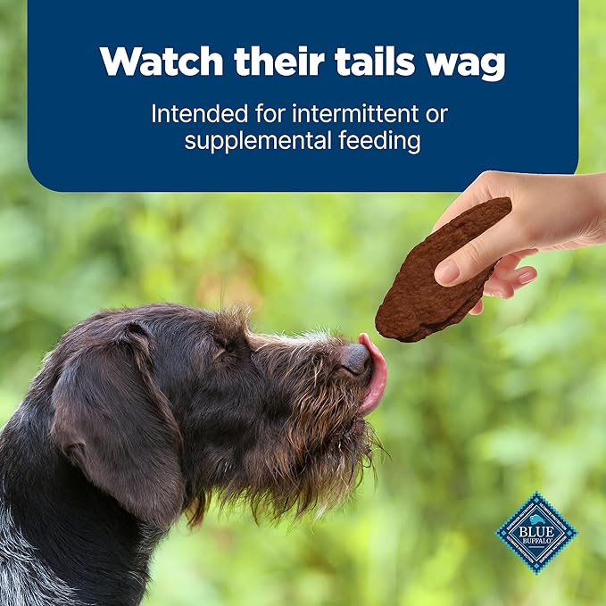 Blue Buffalo Nudges Jerky Cuts Dog Treats, Made in the USA with Natural Ingredients, Steak, 10-oz Bag (Pack of 6)