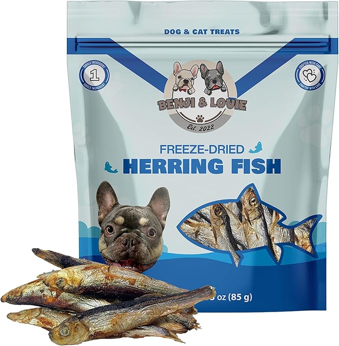 Benji & Louie Air Dried Herring Fish for Dogs and Cats - Natural Healthy Dog and Cat Treats, Single Ingredient, 3 oz