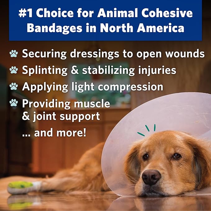 OVIK Health PetFlex Pet Pack – Flexible Self-Adhering Elastic Bandage for Wound Care – First Aid Wrap for Small Animals Like Dogs, Cats, and Other Pets - 2 inch, 6 Rolls