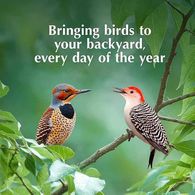 C&S Woodpecker Delight No Melt Suet Dough, Suet Cakes for Wild Birds Including Woodpeckers, Flickers and More, 11.75 Ounces, Pack of 8