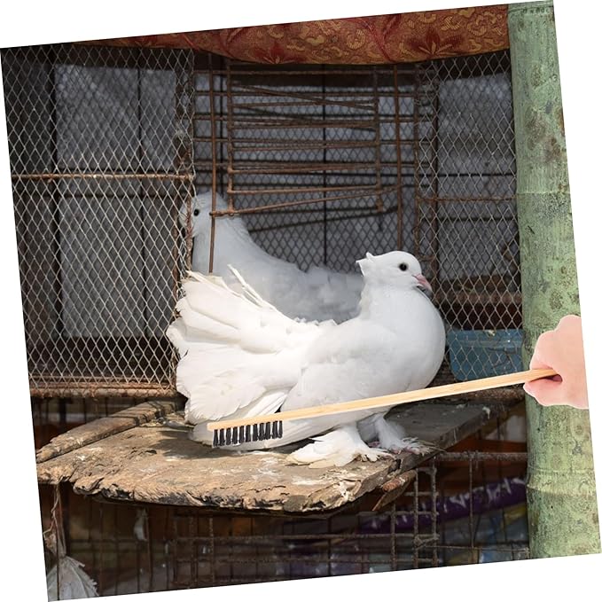 Toddmomy 2pcs Bird Cage Brush Chicken Manure Shovel Set Reptile Cage Cleaner for Pet Supplies