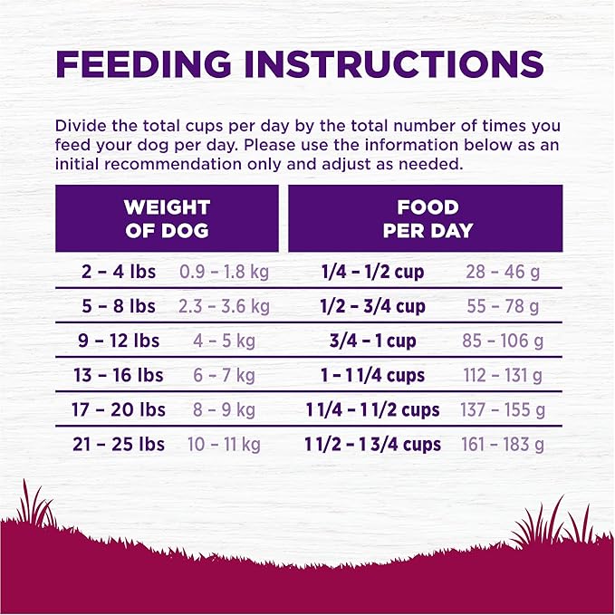 Wellness Complete Health Small Breed Adult Dry Dog Food, Wholesome Grain Kibble, Natural, Turkey and Oatmeal Recipe, 12 lb Bag