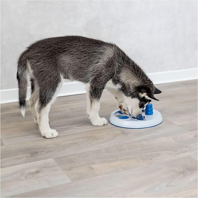 TRIXIE Flip Board Dog Activity Interactive Toy, Level 2 Food Puzzle Game, Brain Teasing Treat Dispenser, IQ and Mental Development Toy for Smart Dogs, Enrichment Toy for Boredom Busting