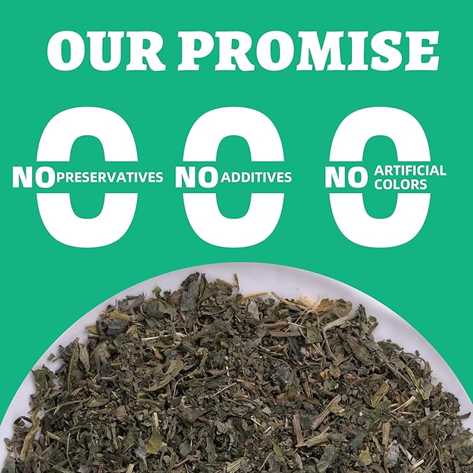 Wellix 3.53oz Fresh Catnip for Cats, Natural Dried Catnip Leaves, Flowers & Stems - Fresh Aroma, Used as Treats or Refillable Cat nip Toys, Non-addtictive, Safe for Indoor Kittens