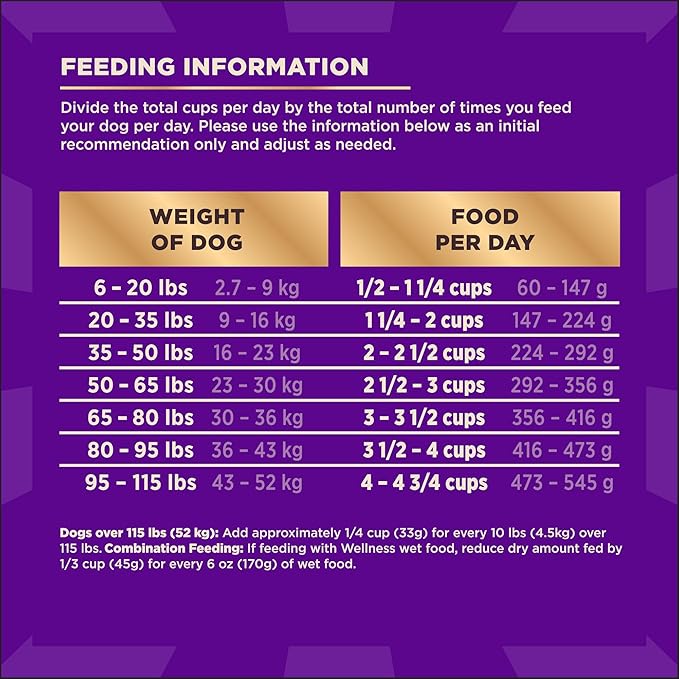 Wellness CORE+ Adult Dry Dog Food with Freeze Dried Pieces, Wholesome Grain Kibble+, Natural, High Protein, Turkey and Chicken Recipe, 20 lb Bag