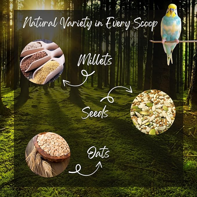 Danodia's Zoolulu Premium Cockatiel & Parrotlet Millet Mix (950g/2 lbs) | Premium Bird Food Blend for Cockatiels, Budgerigars, Parrotlets & Lovebirds | Daily Feeding Blend