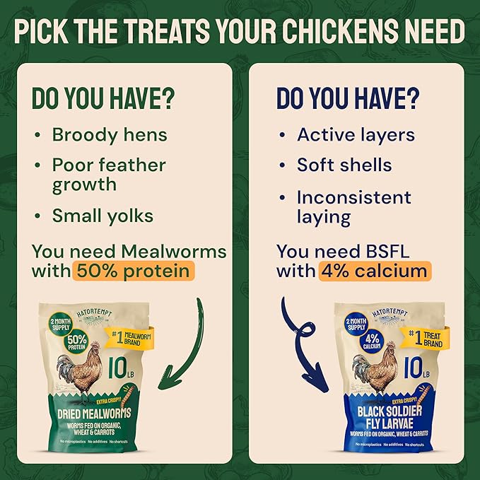Hatortempt Dried Mealworms - Non-GMO & Organic - High-Protein Mealworms for Wild Bird Food, Ducks & Chickens (5lb)