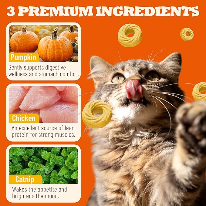 8 oz Pumpkin Treats Digestive Support Catnip Flavor Healthy Cat Snacks Training Biscuits Cat Treats